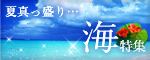 �Đ^������c�C���W