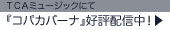 �s�b�`�~���[�W�b�N���g�w�R�p�J�o�[�i�x