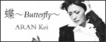���������u���`Butterfly�`�v