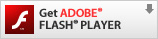 Get ADOBE FLASH PLAYER