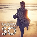 u΂Ƀ`F[v |Special DVD-BOX KAZUHO SO|