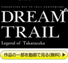 RwDREAM TRAILx