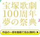 ˉ̌100N ̍ՓTwtłX~̉Ԃx