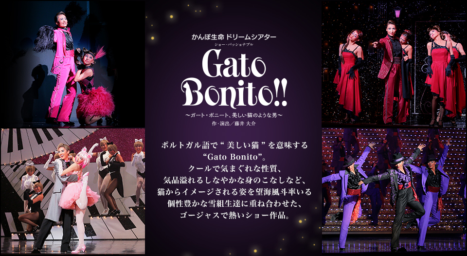 凱旋門 Gato Bonito 特集 宝塚歌劇 Dvd ビデオ Cd専門ショップ Tcaショップ 凱旋門 Gato Bonito 特集 宝塚歌劇 Dvd ビデオ Cd専門ショップ Tcaショップ