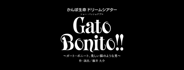 『Gato Bonito!!』