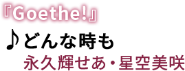 �wGoethe!�x�@��ǂ�Ȏ����@�́F�i�v�P�����E�������