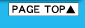 PAGETOP