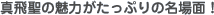 ^򐹂̖͂Ղ̖ʁI