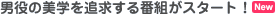 j̔wǋԑgX^[gI[New]