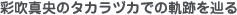 ʐ^̃^JdJł̋OՂH