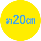 20cm
