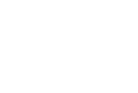 FROZEN HOLIDAY