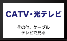 その他、ケーブルテレビで見る