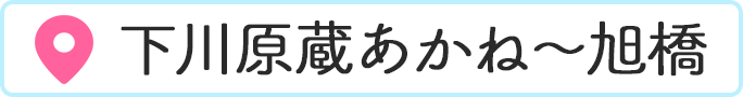 쌴ˁ`