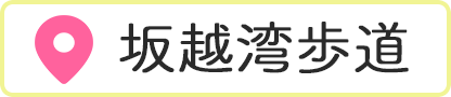 zp
