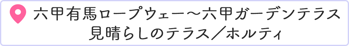 �Z�b�L�n���[�v�E�F�[�` �Z�b�K�[�f���e���X�i�����炵�̃e���X�`�z���e�B�j