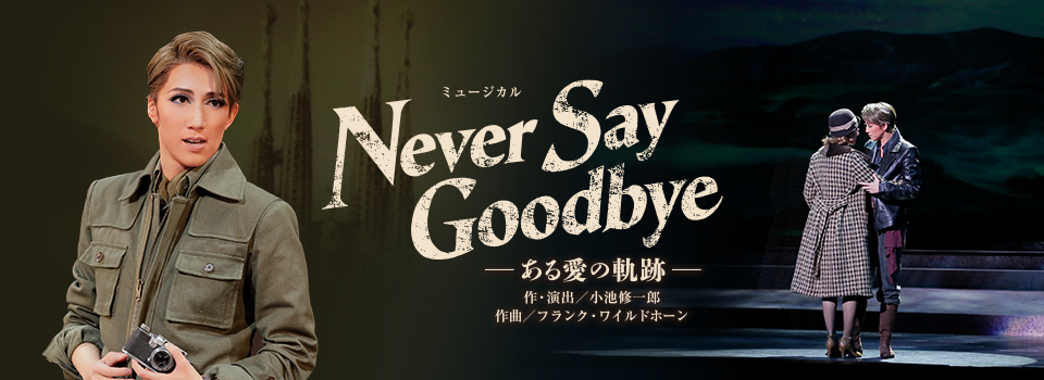 『NEVER SAY GOODBYE』