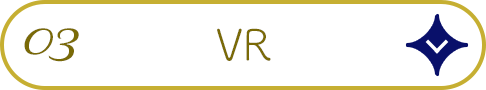 03.VR