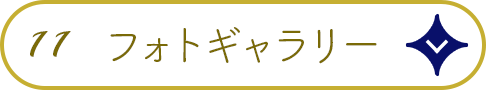 11.フォトギャラリー