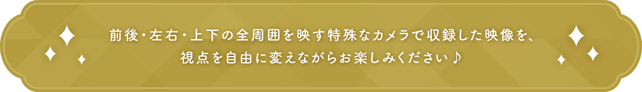 前後・左右・上下の全周囲を映す特殊なカメラで収録した映像を、視点を自由に変えながらお楽しみください♪